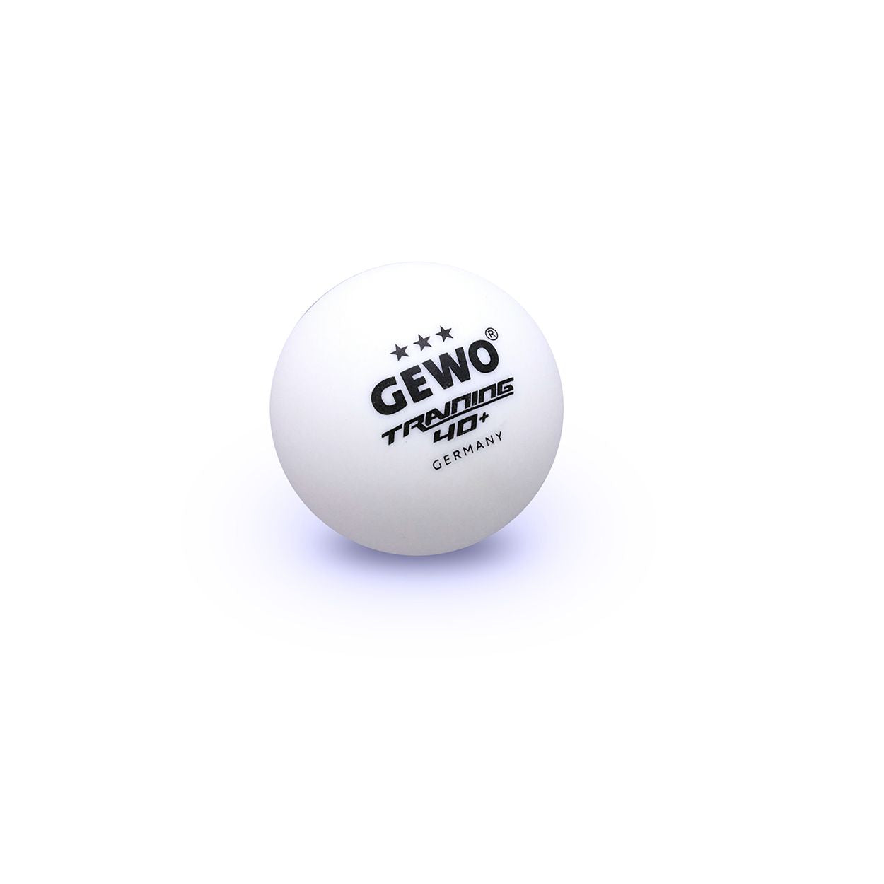 6 Balles Gewo TrainingBall40+