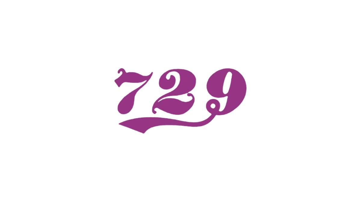 Friendship 729