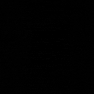 Bois|OFF
